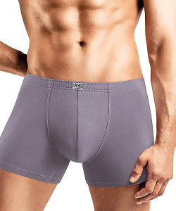 Трусы муж. Clever (L, Св.Фиолетовый)