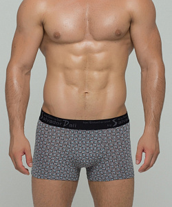 Трусы муж. Salvador Dali (M, Серый)