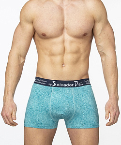 Трусы муж. Salvador Dali (XL, Лазурный)