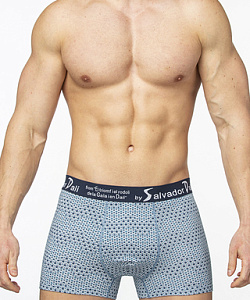 Трусы муж. Salvador Dali (M, Голубой)