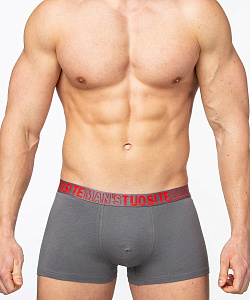 Трусы муж. Tuosite (XXL, Т.Серый)
