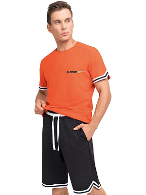 Шорты муж. Clever