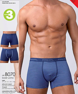 Трусы Primal (XXL, В расцветках)