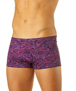 Трусы Lowry (XL, Бордо)