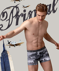 Трусы Primal (XL, Серый)