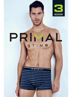 Трусы Primal