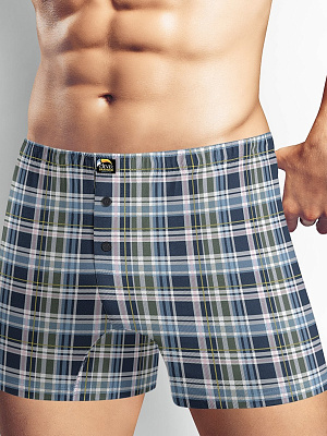 Трусы муж. Clever