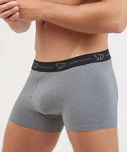 Трусы муж. Salvador Dali (L, Серый меланж)