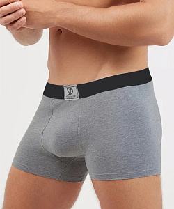 Трусы муж. Salvador Dali (L, Серый)