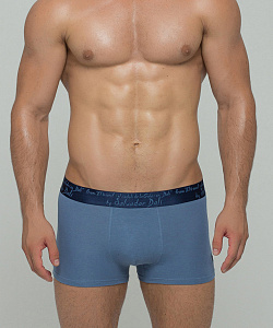 Трусы муж. Salvador Dali (L, Синий)