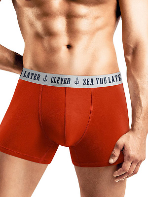 Трусы муж. Clever