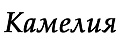 Kameliya